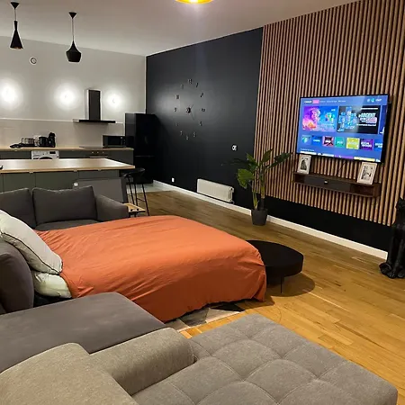 Loft Aux Portes De Paris - Parking Gratuit Apartment
